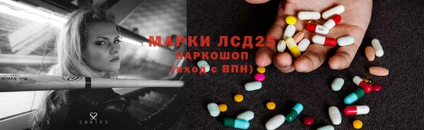 стаф Алзамай