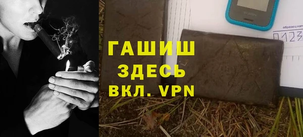 стаф Алзамай
