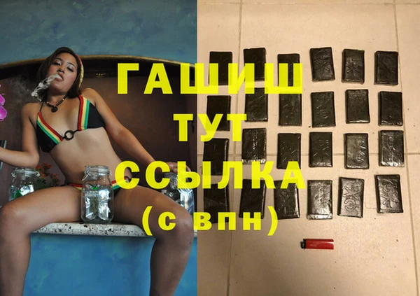 стаф Алзамай