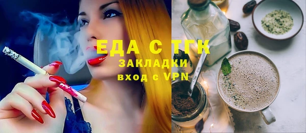 стаф Алзамай