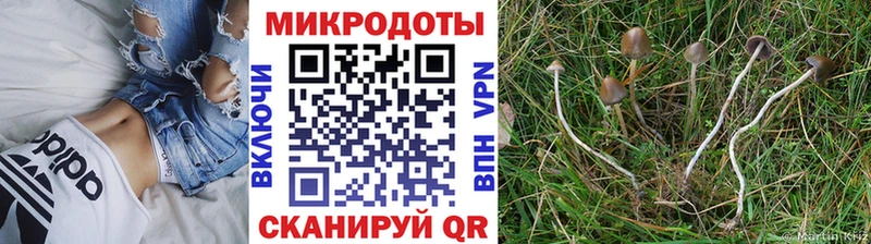 Псилоцибиновые грибы MAGIC MUSHROOMS  Билибино 